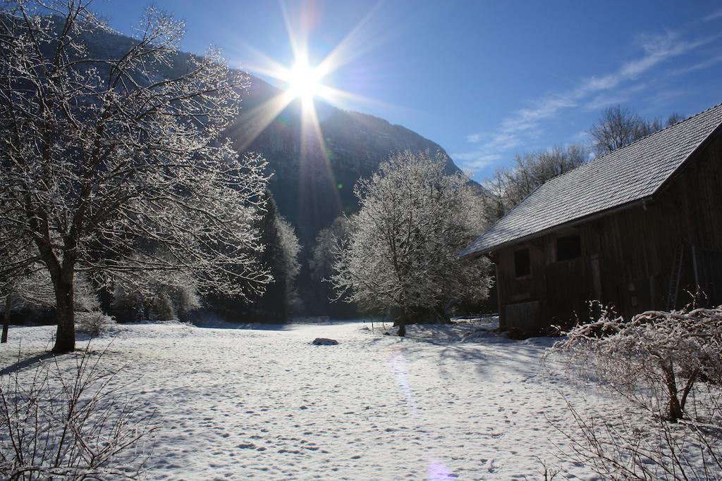 La Clairiere Du Moulin Bed and Breakfast Lepin-le-Lac Εξωτερικό φωτογραφία
