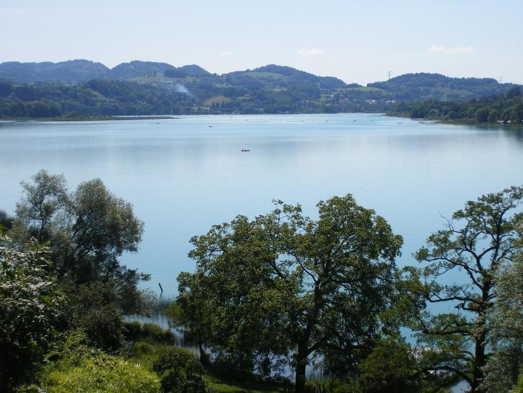 La Clairiere Du Moulin Bed and Breakfast Lepin-le-Lac Εξωτερικό φωτογραφία